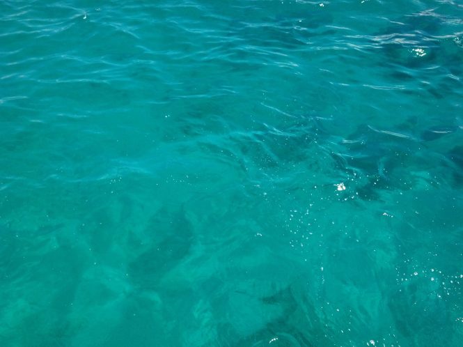 Looking down into the water from the boat