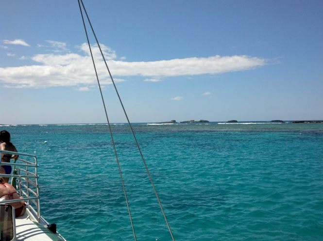 The second snorkel site