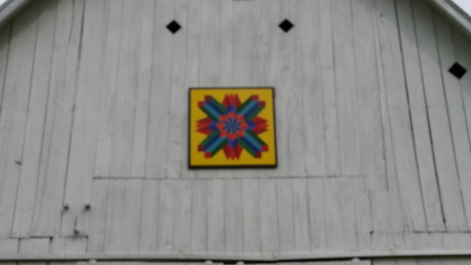 A slightly blurry close-up