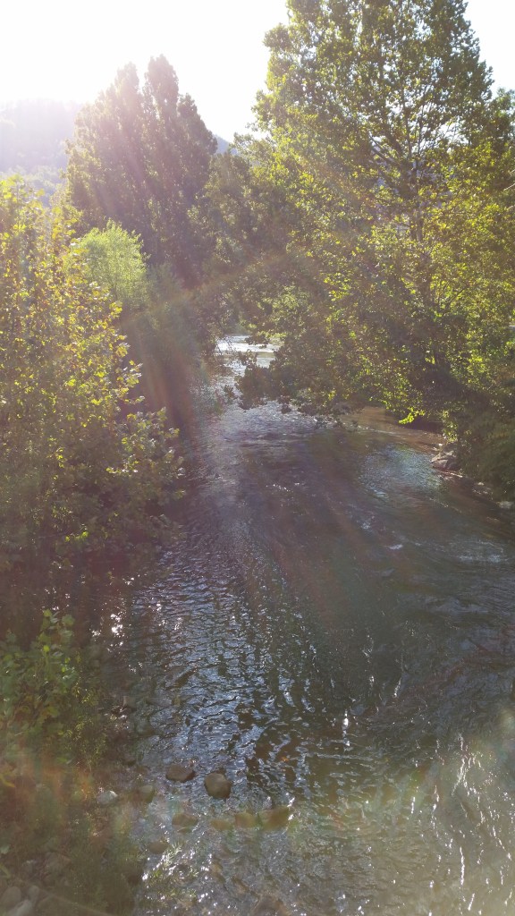 The Elk River glitters in the afternoon sun