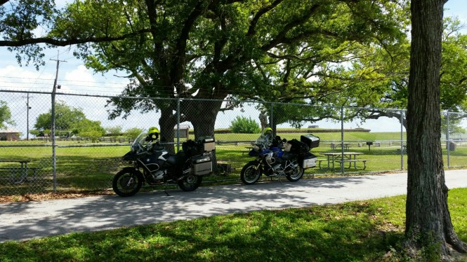 wp-1428677445585 image