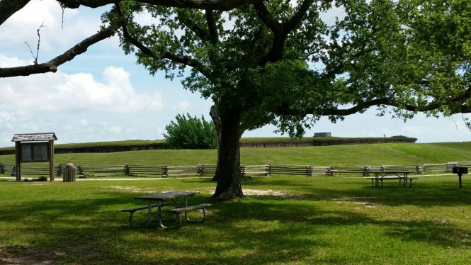 wp-1428677464292 image