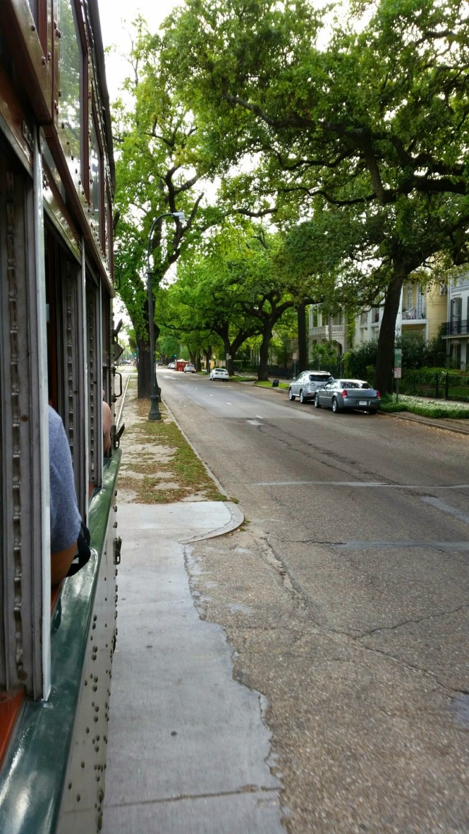 wp-1428679086261 image