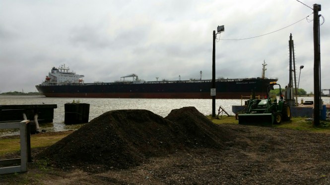 wp-1428680119767 image