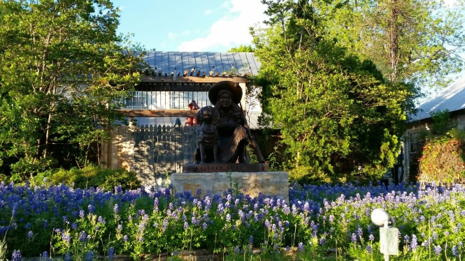 On the way to dinner, "Little Sure Shot", Annie Oakley, and her dog were highlighted by the gorgeous bluebonnets