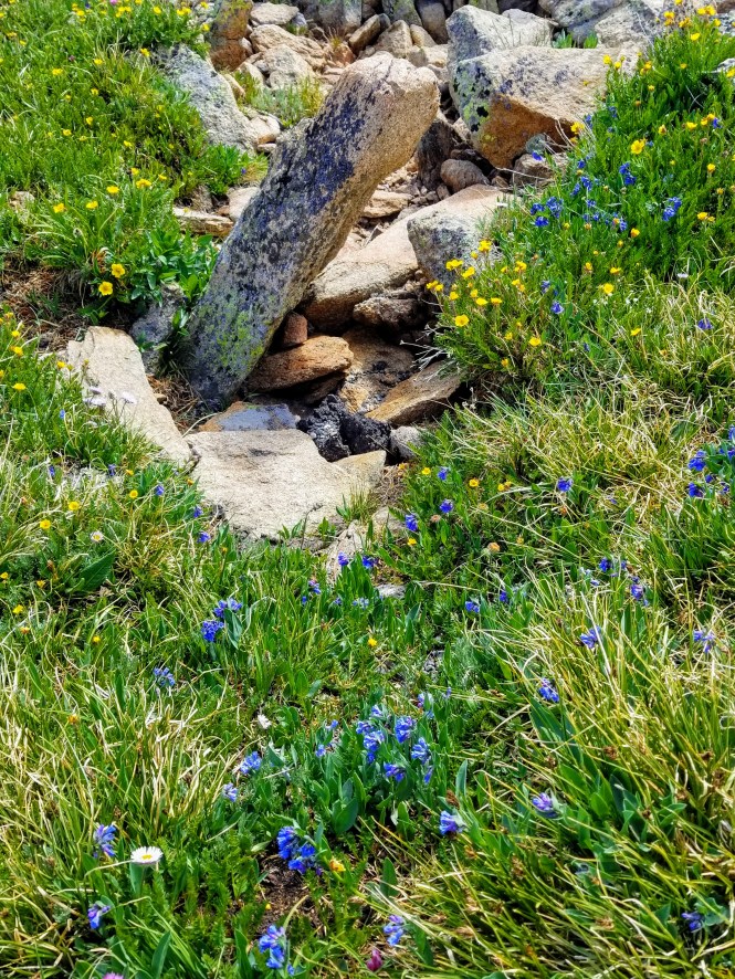 20180625_110605-effects